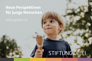 Stiftung Dihei