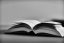 Buch DSC07206 Weidmann Rechtsanwaelte
